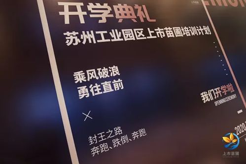 1年上市17家企业，8大体系赋能学员！苏州工业园区“上市苗圃培训计划”盛大开学