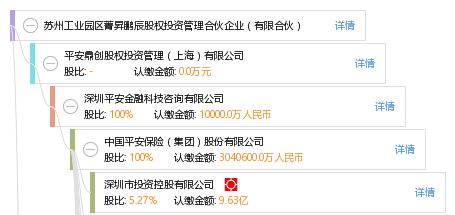资本与治理的双重奏 苏州工业园区菁昇鹏辰股权投资的生态解析